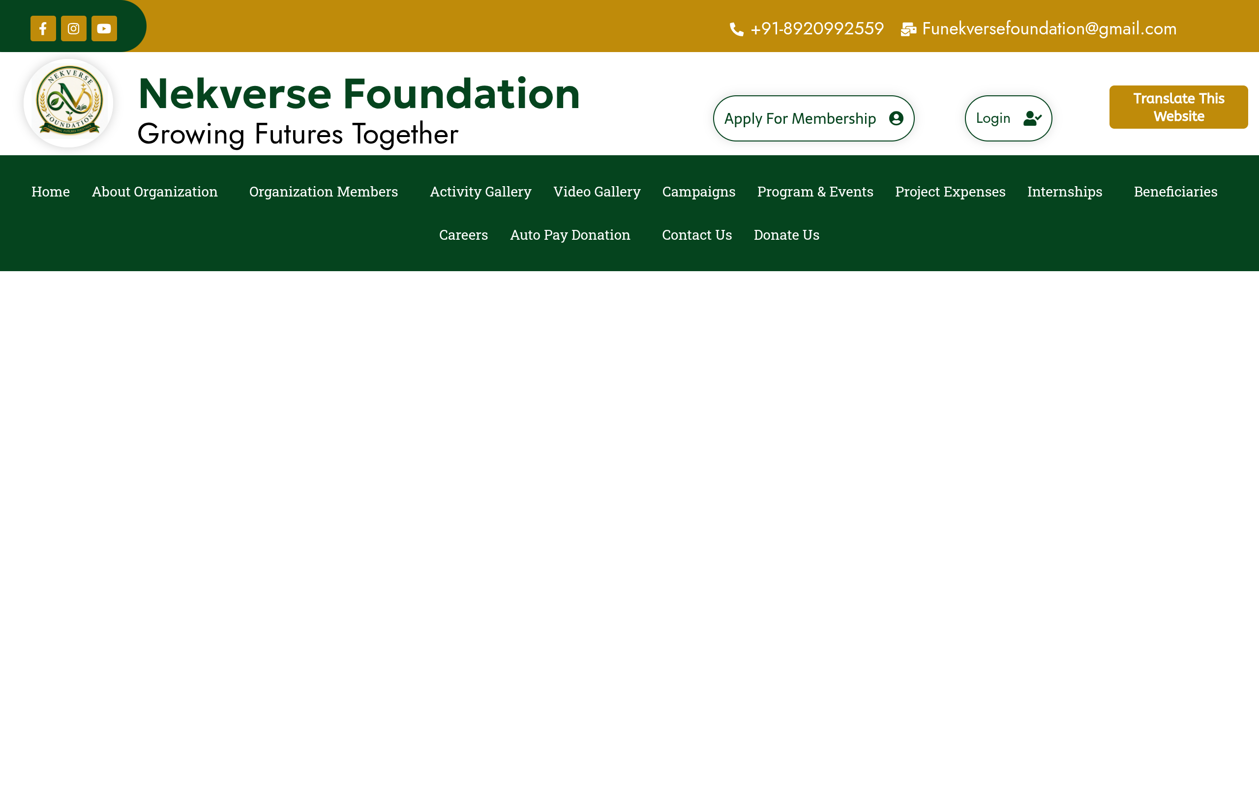 Nekverse Foundation screenshot
